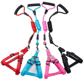 Stocked High Quality Nylon Cheap Puppy Harness and Leash Set