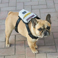 2021 New Hot-selling Pet Dog Self-backpack Dog Harness Vest Backpack Saddle Bag Out Portable Pet Bag Outdoor Travel Mini Dog Bag