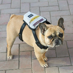 2021 New Hot-selling Pet Dog Self-backpack Dog Harness Vest Backpack Saddle Bag Out Portable Pet Bag Outdoor Travel Mini Dog Bag