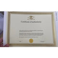Free Design High Quality Hot Stamping Gold/Silver Foil Certificate Printing Paper Certificate Degree Certificate Printing