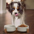 Ceramic Dog and Cat Bowl with Wood Stand Non-Slip Matte Glaze Weighted Food Water Set for Cats &Small Dogs
