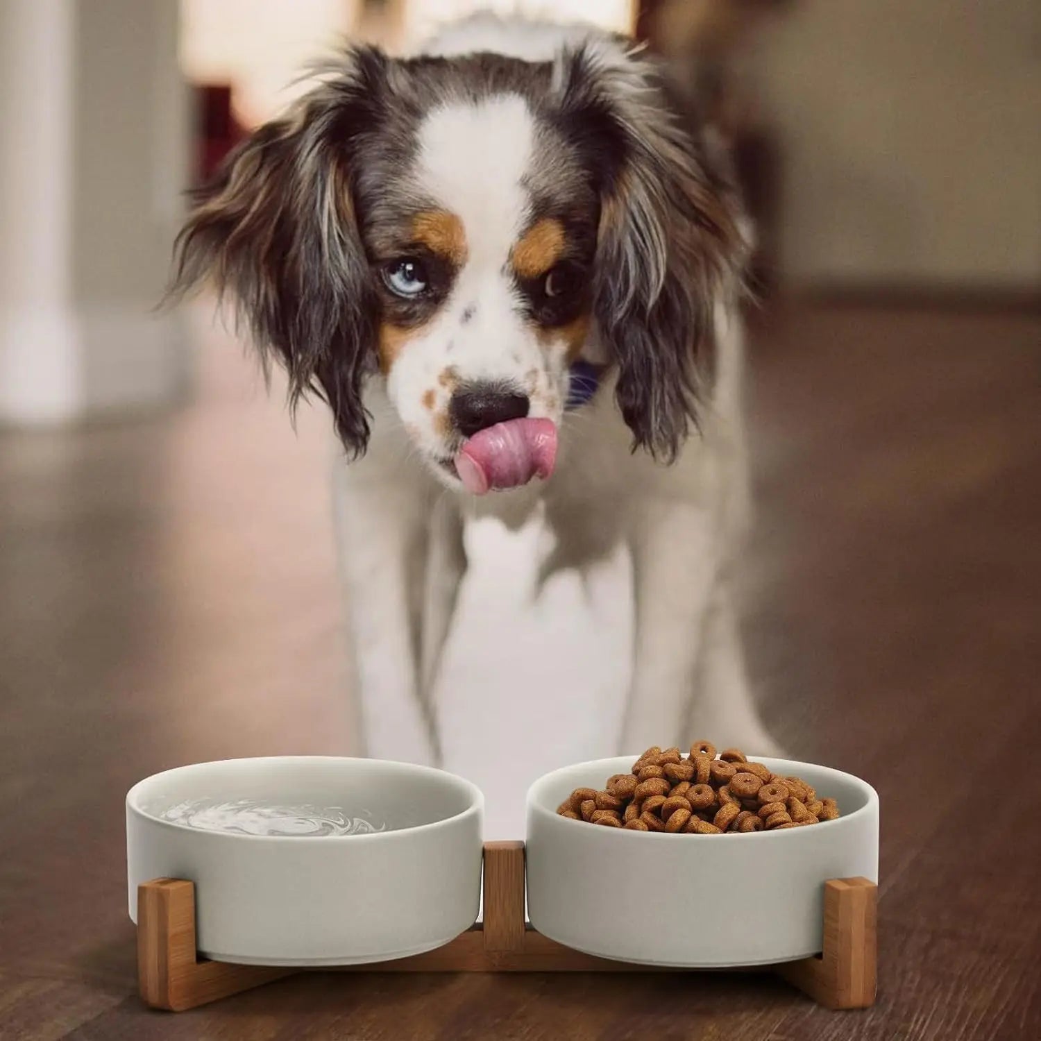 Ceramic Dog and Cat Bowl with Wood Stand Non-Slip Matte Glaze Weighted Food Water Set for Cats &Small Dogs