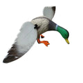 Original Manufacturer's Motorized Duck Decoy with Hard PE Plastic 36CM Remote Control 6V Motor for Duck Hunting