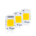 COB LED 20W 30W 50W High Power Driverless Indoor Light AC110V 220V with Linear Light DOB Chip Emitting White Green UV Cool White