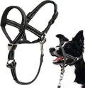 Dog Head Halter Reflective Durable Polyester Dog Training Halter Stops Pulling No Pull Soft with Safety Clip