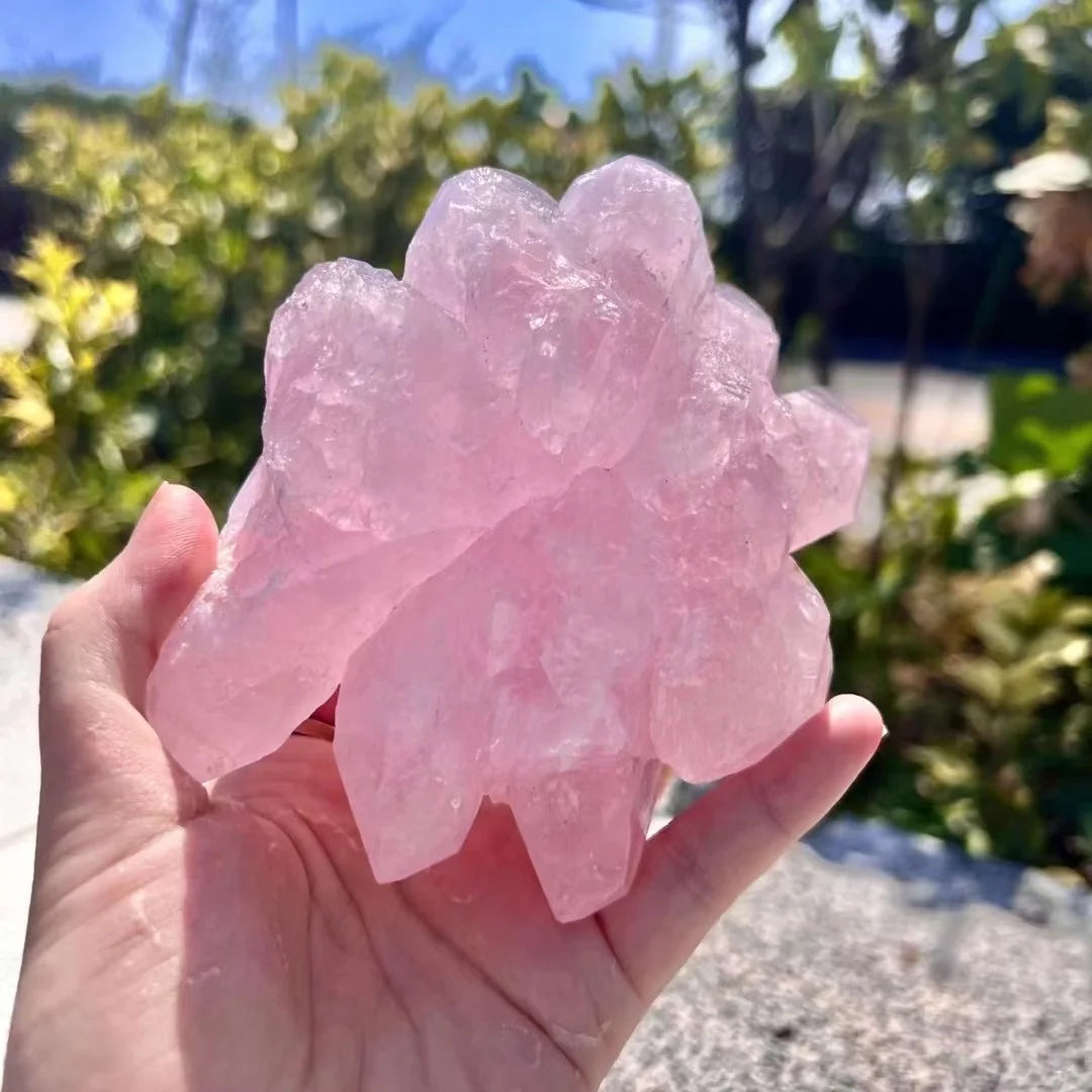 Spiritual Healing Stone Natural Columbia Rose Quartz Backbone Cluster rare Quartz Crystal Speicemen Mineral