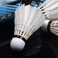 12 Pack Training Badminton Flight Family Entertainment Badminton Adult Training Badminton