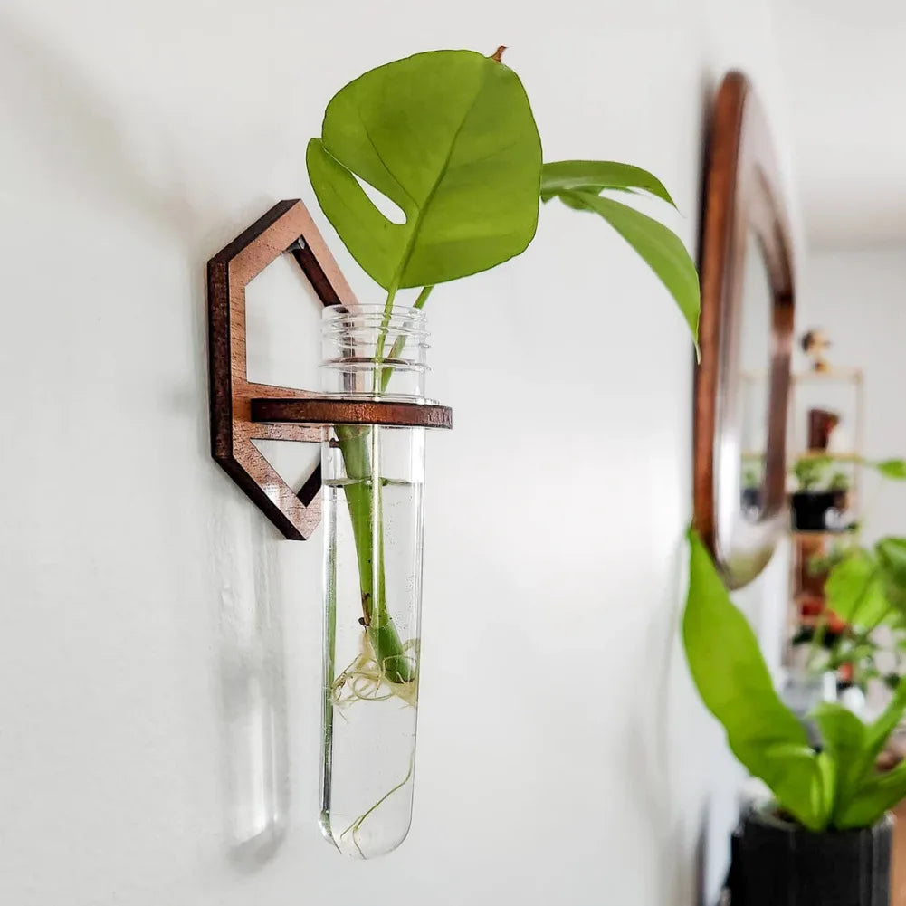 Tailai Premium Boxwood Wall-Mounted Hanging Test Tube Rack Designed for Efficient and Aesthetic Plant Cultivation and Display