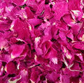 Edible Natural Raw Shredded Dried 100% Pure Dried Rose Petal Tea for Sale