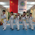 100% PVC High Density Anti-Slip Adhesive Modern Plain Surface Vinyl Flooring Taekwondo Judo Karate Mat