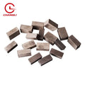 Changli 1200mm Diamond Segments for Sandstone Cutting OEM Customizable High Speed Straight Smooth Edge ISO9001 Certified 3-Year