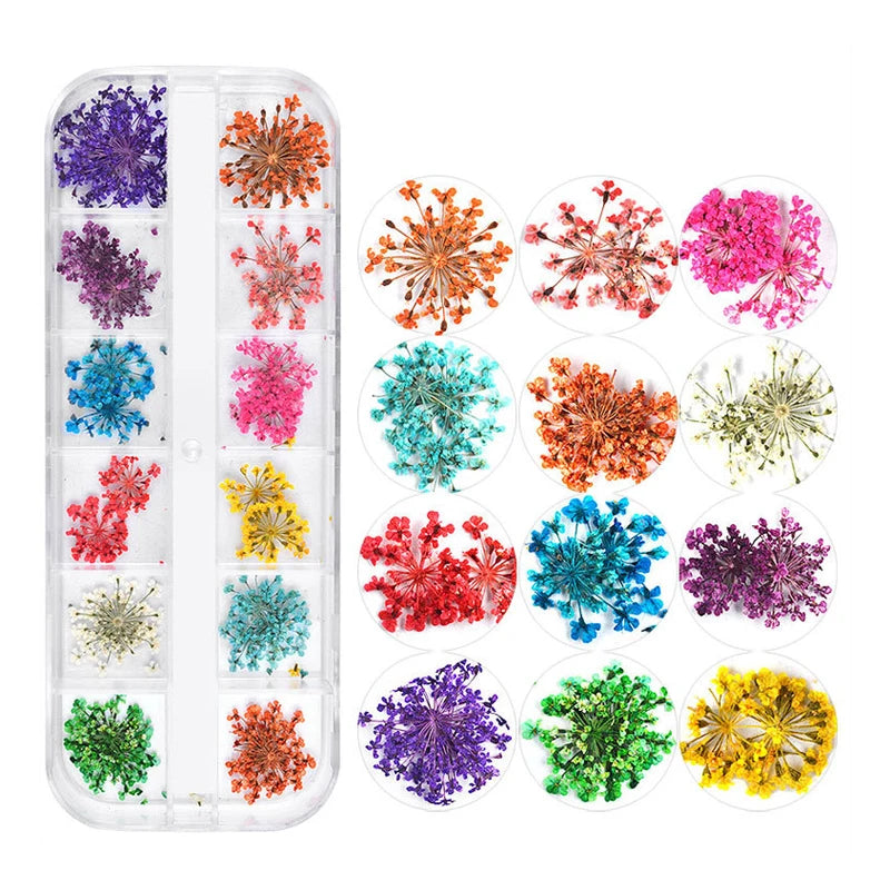 Hot Spring 10 Style 3D Mix Dry Dried Flowers Nail Box for Nails Art