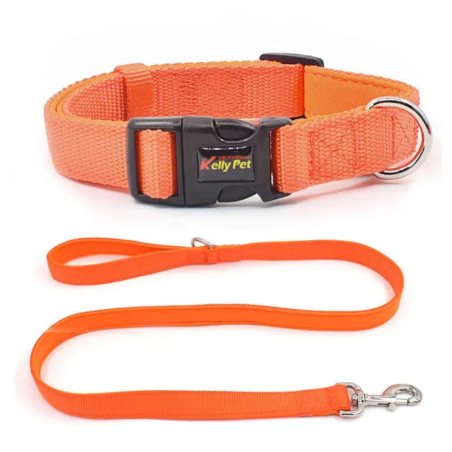 Custom Nylon Dog Collar Leash Bundle Pet Safety Belt Adjustable Walking Training Collar Rope Leash Set Pet Accessories