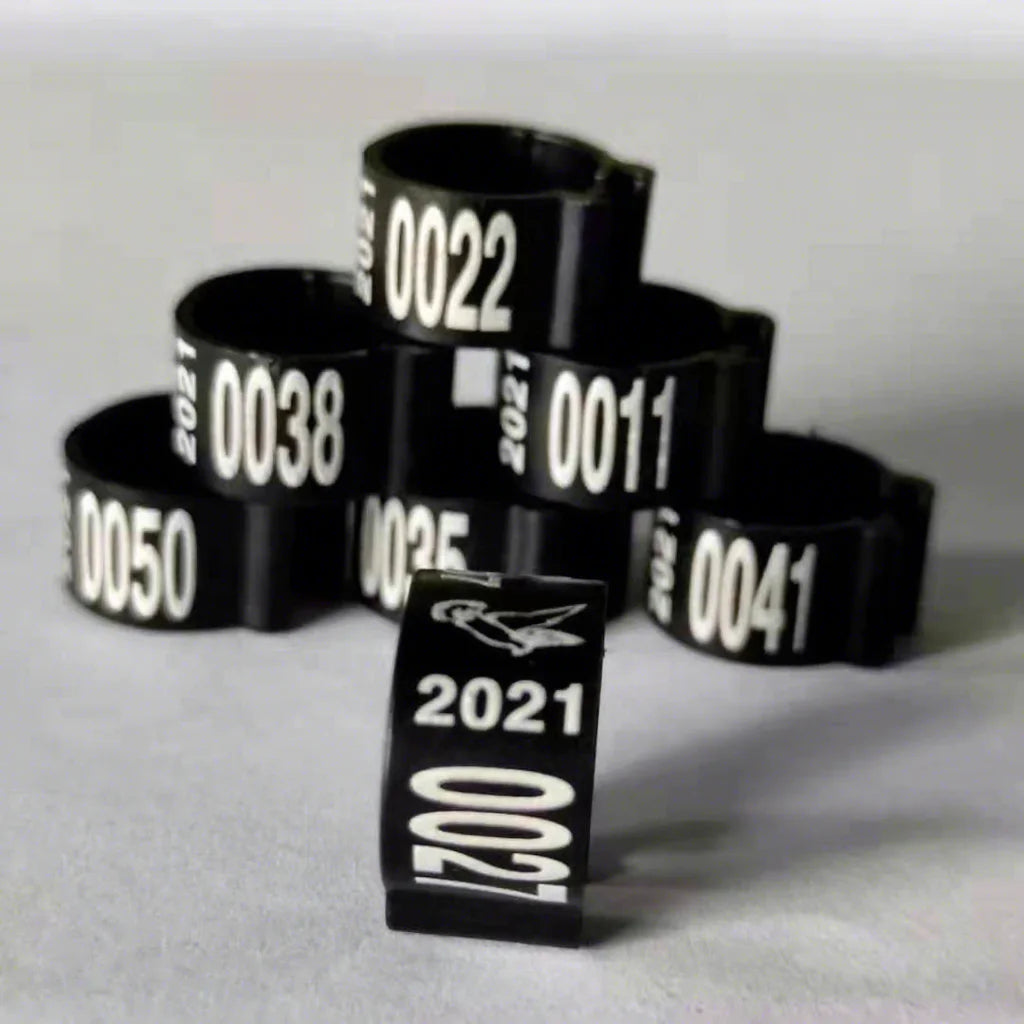 9mm Plastic Pigeon Leg Rings Identify Bird Leg Bands Plastic Rings with Customization Blue Color 8mm Training Pigeon Rings