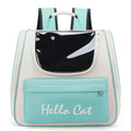 RM Astronaut Space Transparent Bubble Backpack Pet Bag Delivery Portable Hand-held Breathable Cat Bag