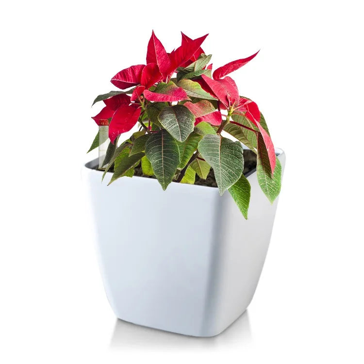 BRICE Durable Mini Decorative Desktop Flower Pot Gallon Plant Pot Plastic Flower Pot Square Planter Cactus