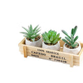 Green Plant Succulent Bonsai Living Room Plant Artificial Wholesale Desktop Decoration Small Bonsai Pot