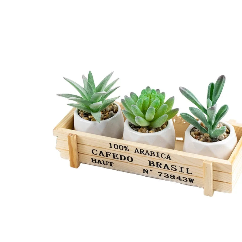 Green Plant Succulent Bonsai Living Room Plant Artificial Wholesale Desktop Decoration Small Bonsai Pot