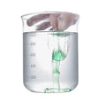Eco Friendly Liquid Soap Capsule Film Laundry Detergent Pod Film