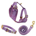 2024 New Printed Mesh Reversible Dog Harness Set Custom Logo Design No Pull Neoprene Soft Small Dog Harness and Leash Set