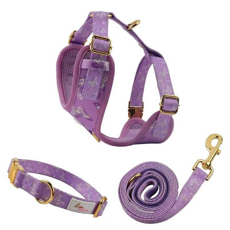 2024 New Printed Mesh Reversible Dog Harness Set Custom Logo Design No Pull Neoprene Soft Small Dog Harness and Leash Set