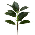 Silk Simulated Rubber Trees and Fork Trees Artificial Tropical Decorative Leaves for Garden Landscaping