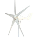 Poland Overseas Warehouse Horizontal Wind Turbine for Home Use  800W 5 Blades Generators