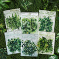 20 sheets per pack Forest Leaf Shadow Handbook Sticker Pack Vintage Botanical Handbook Premium Feeling Stickers