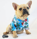 Popular Fashion Dog Supplies French Bulldog Clothes Cotton Carton Customized Logo Winter Clothes Print Modern ORIGINAL 3 Colors