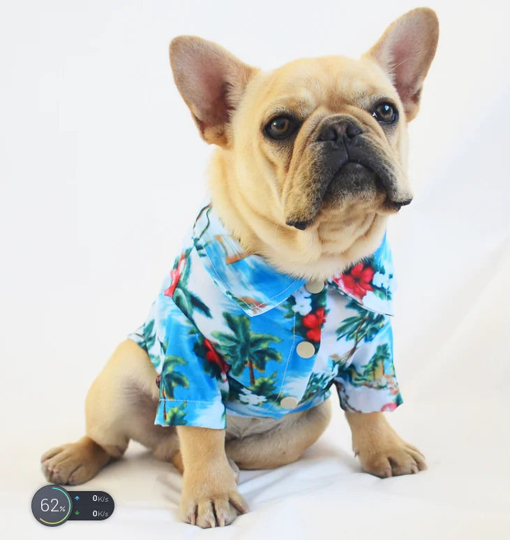 Popular Fashion Dog Supplies French Bulldog Clothes Cotton Carton Customized Logo Winter Clothes Print Modern ORIGINAL 3 Colors