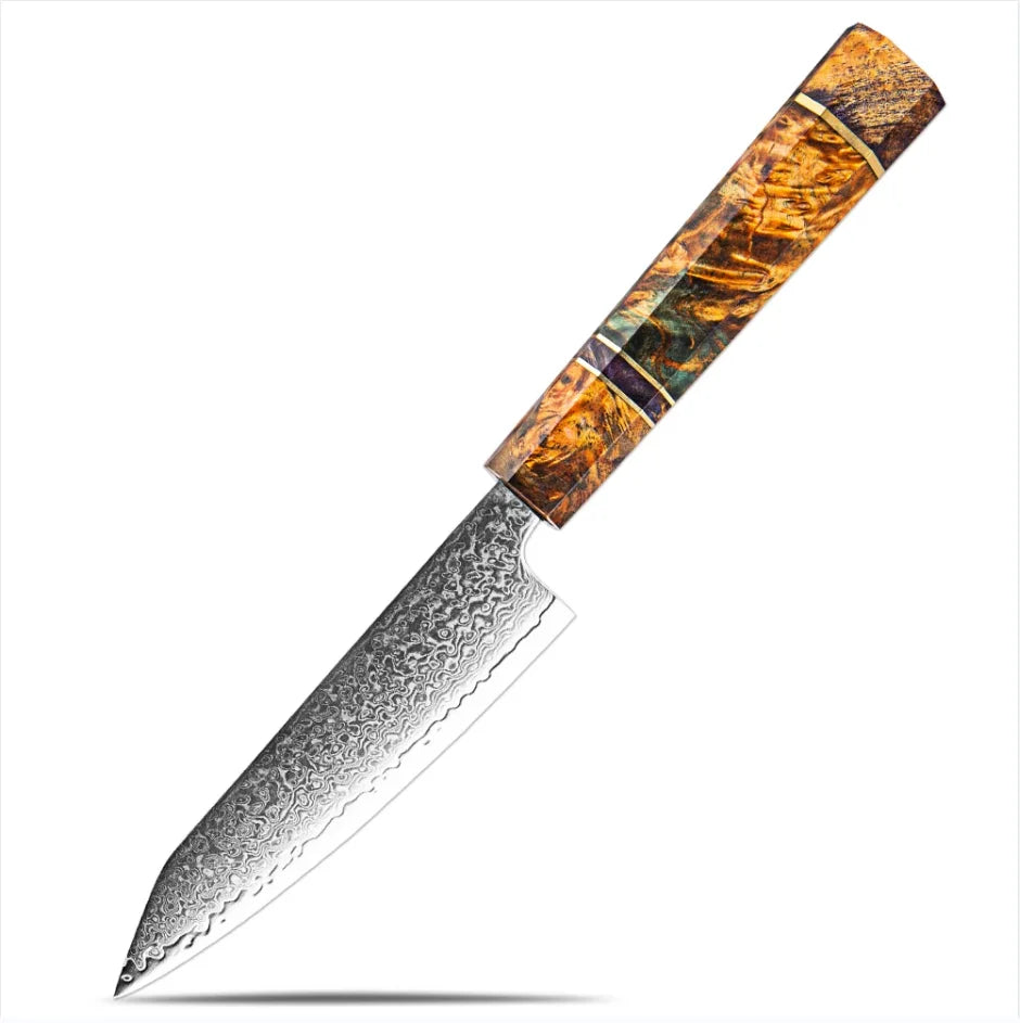 5inch Damascus Steel Fruit Knife Japan Vg10 Fruit Peeling Kitchen Cutting Chef's Multitool Knife Kitchen Accessories