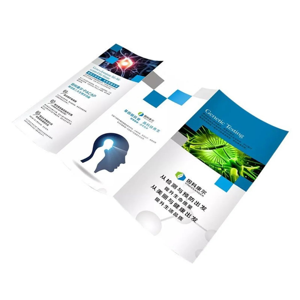 OEM A4 Brochure and A5 Flyer New Design Folded Leaflet Newsprint Paper with Film Lamination for Business Use