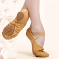 Women Elastic Canvas Dance Shoes Ballet Slippers