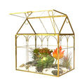 Hot Selling Orchid Succulent Cacti Terrarium Large Tall House Shape Plant Glass Greenhouse Terrarium With Lid