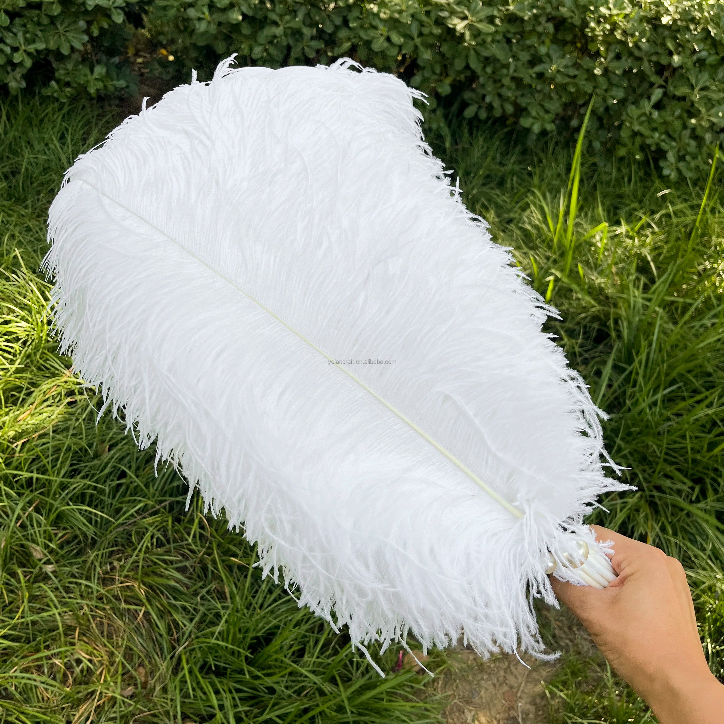 Wholesale Dyed Ostrich Plumes Feather Decorative Feathers 16-32 Inches Bulk for Home Wedding Decor
