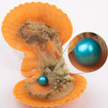 Natural Pearl Freshwater Cultured Pearl Oyster with 7-8 mm Round 4a+ Grade DIY Birthday Gifts Vacuum-Packed MegaBDM