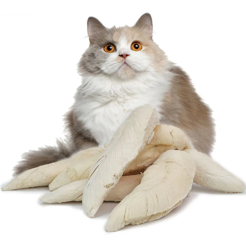 Manufacturer Factory Made Natural Freeze Dried Chicken Breast Pet Snacks Dog Cat Food Pet Treats