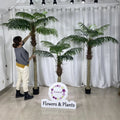 A1290 5 - 10 FT Large 9FT Fake Potted Bonsai Trees 2m Big Plastic Artificial Indoor Outdoor Decor Plant Tropical Areca Palm Tree