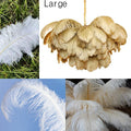 Factory Wholesale High Quality 60-80cm Ostrich Feathers Large for Carnival Feather Feathers Wedding Party Decoration