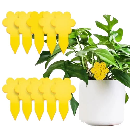 Agriculture Fruit Flower Shape Yellow Sticky Trap-Catching Flies & Mosquitoes Insect Glue Killer State-of-the-Art Gel Type