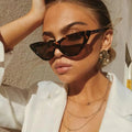 Luxury Fashion Leopard Women Small Triangle Rivet Cat Eye Cateye Sunglasses
