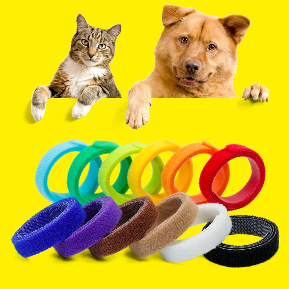 12 Colors Eco-friendly Pet Supplies Collars Soft Dog Identification Collar for Kittens and Dogs