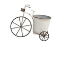 Iron Art Vintage Distressed Flower Pot Outdoor Garden Decoration with Iron Succulent for Glass Drinkware MegaBDM