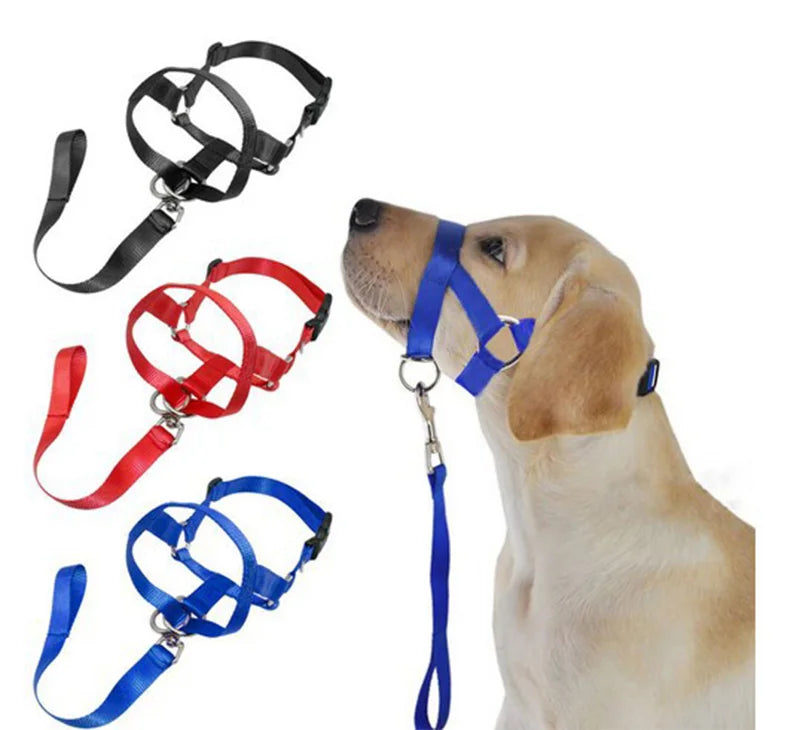 Dog Head Halter No Pull Laisse Collier Chien Hundekopfhalfter Collare a Testa Di Cane Hond Dog Head Collar