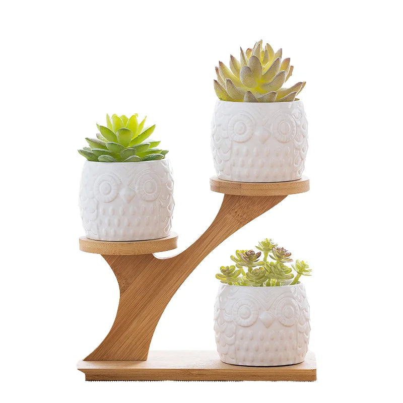 Three Tier Retro Style Bamboo Bonsai Display Shelf Green Plant Flower Pot Holder with Standing Type Installation Storage Rack