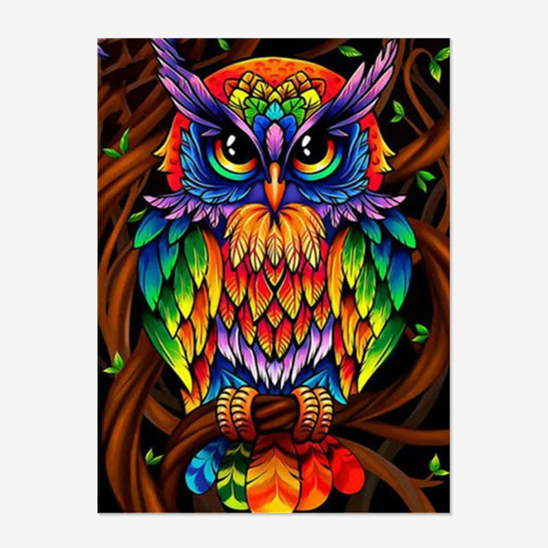 DIY 5D Diamond Painting Animal Bird Colorful Owl Full Drill Embroidery Cross Stitch Kits 100% Full Diamond Environment Friendly