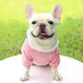 Wholesale Pet Supplies Cheap Multicolor Soft Fleece Warm Pet Custom Designer Hoodie Blank Diy Dog Pet Clothes