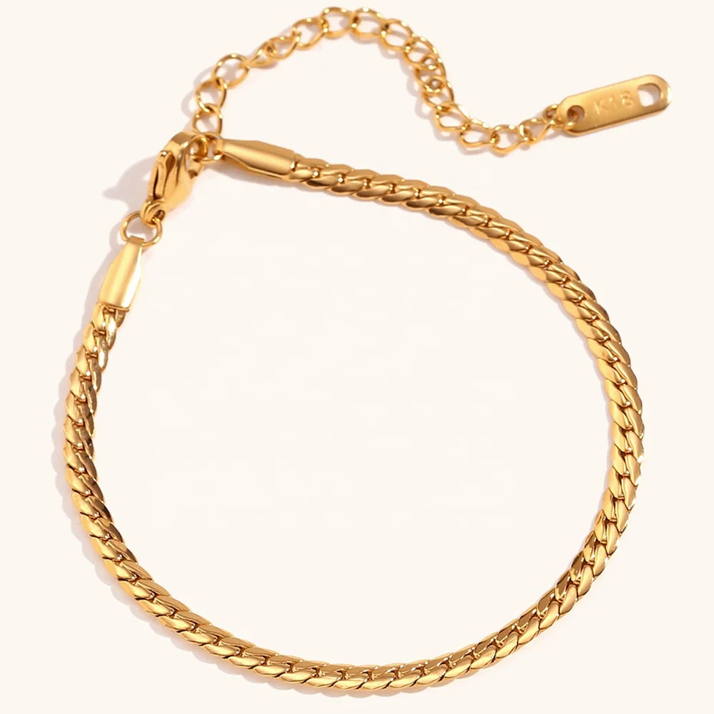 Dingran 2023 New 18K Gold Plated NK Chain Bracelet 2.7mm Stainless Steel Tarnish Tree Jewelry Stylish Trendy Gift for Wedding