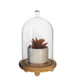 Luxury Preserved Rose Glass Cloche Cylinder Shaped Glass Dome With Natural Wooden Base Succulent Plants Vase