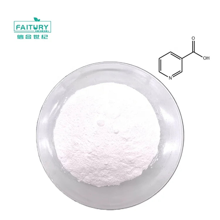 Hot Sale Food Grade Vitamin B3 3-Picolinic Acid Nicotinic Acid Powder CAS 59-67-6